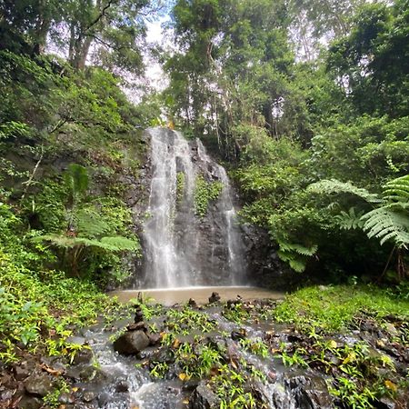 Hotel Nimbin Waterfall Retreat Exteriér fotografie