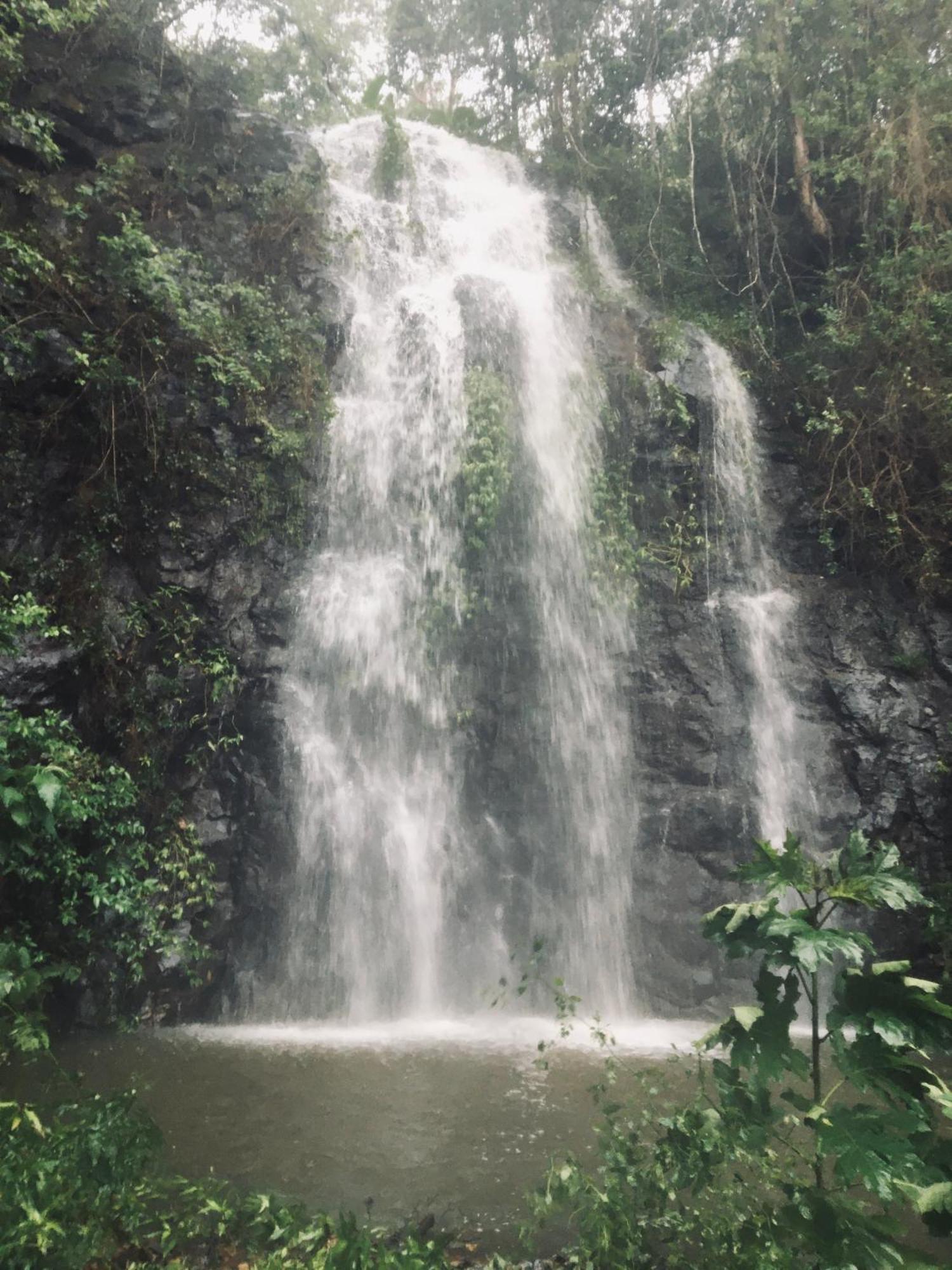 Hotel Nimbin Waterfall Retreat Exteriér fotografie