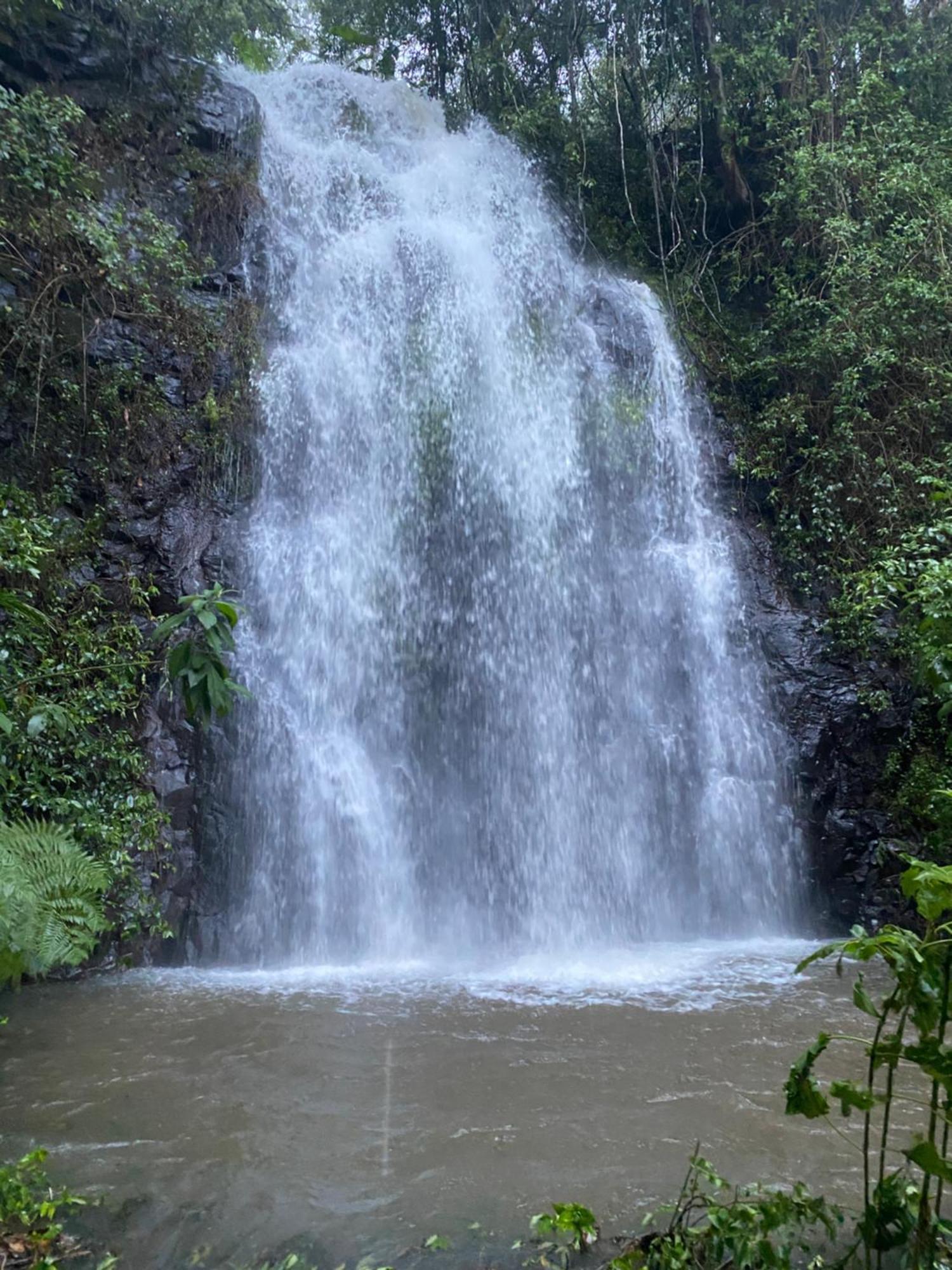 Hotel Nimbin Waterfall Retreat Exteriér fotografie