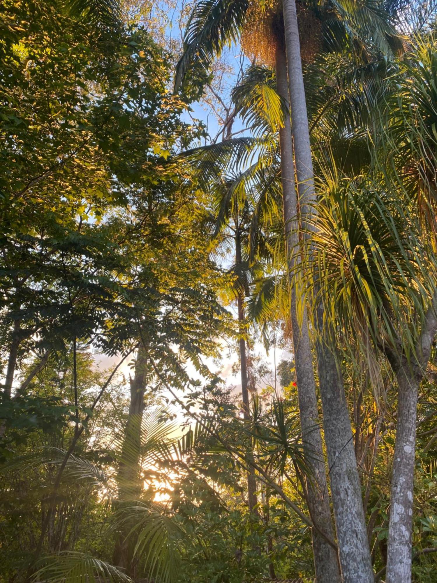 Hotel Nimbin Waterfall Retreat Exteriér fotografie