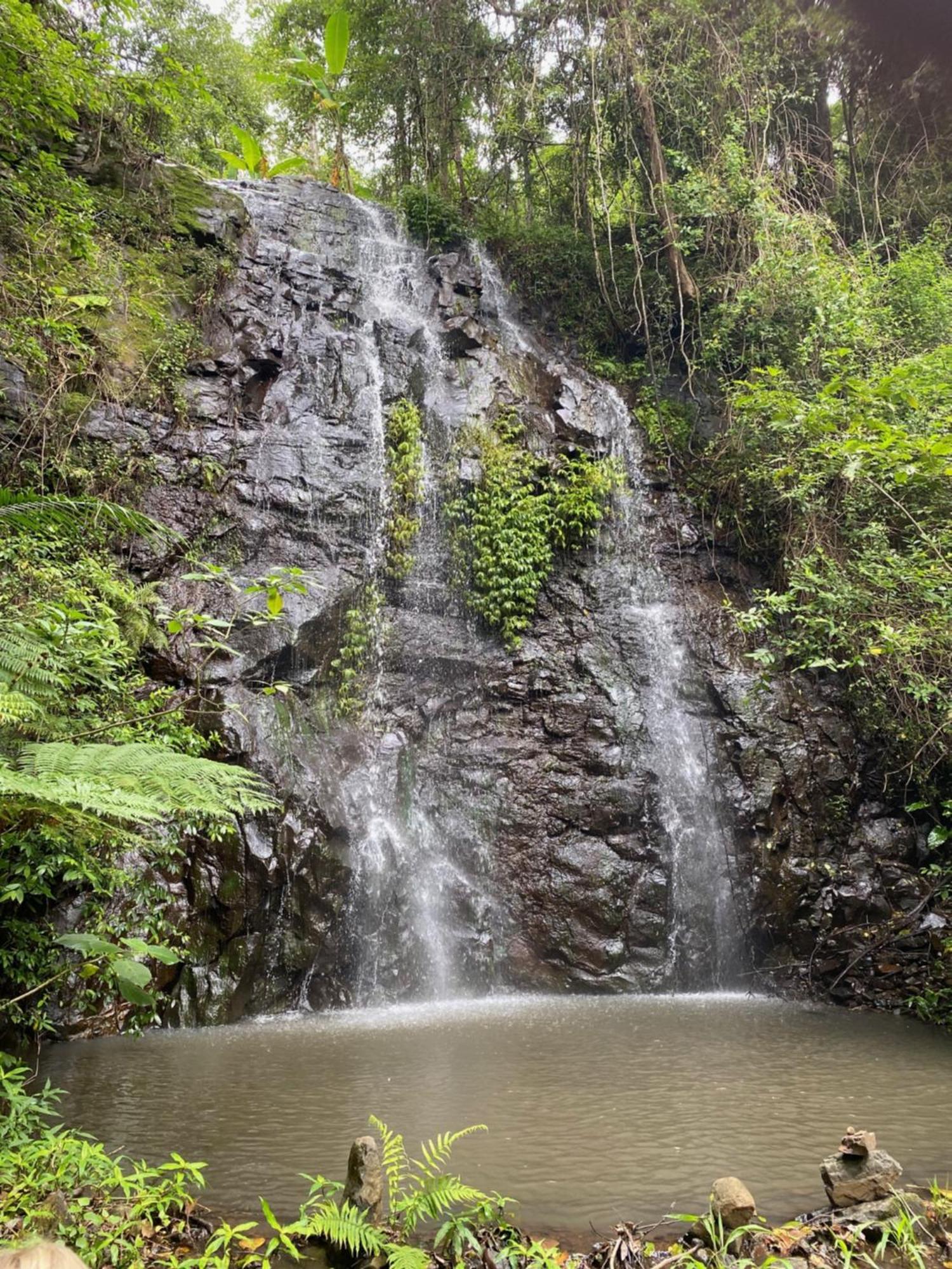 Hotel Nimbin Waterfall Retreat Exteriér fotografie