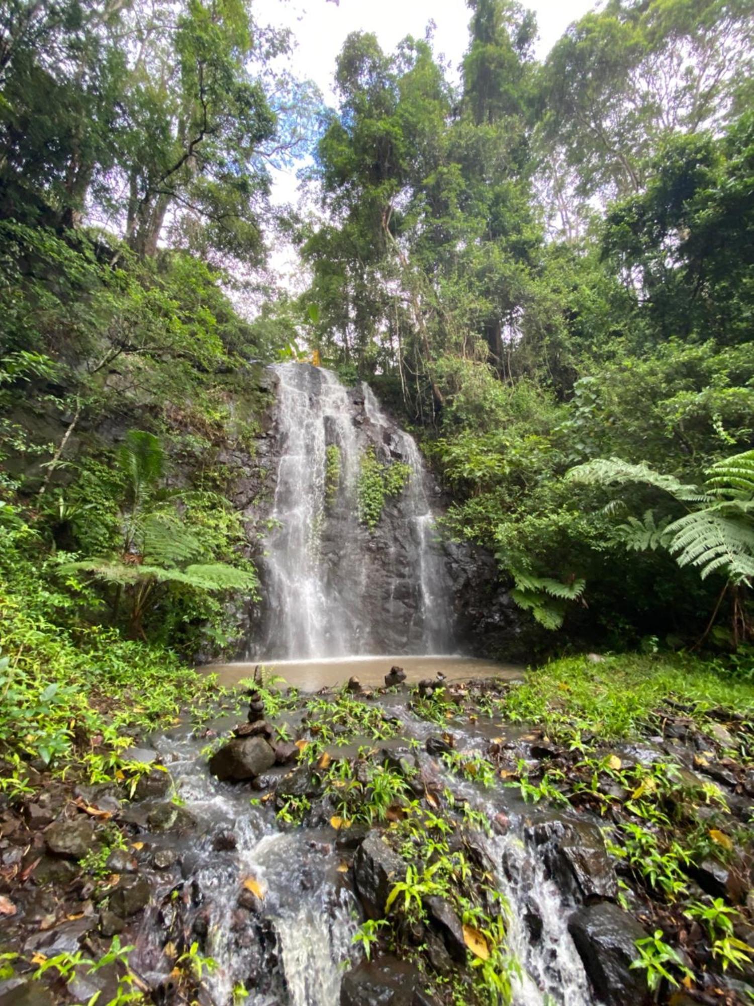 Hotel Nimbin Waterfall Retreat Exteriér fotografie